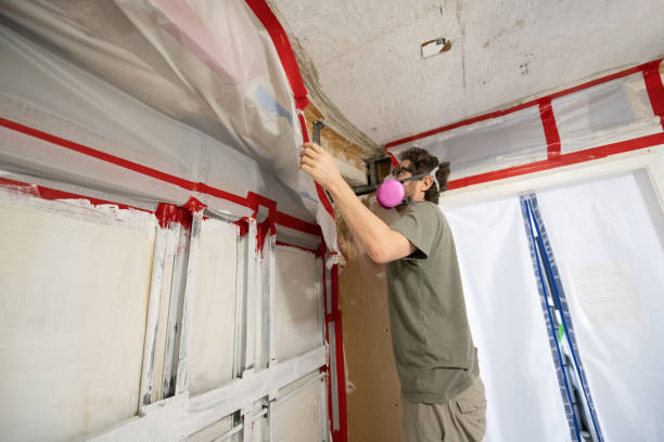 Best Mold-Related Health Consultation  in Cherryville, PA