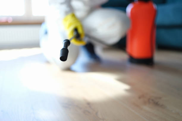 Best Mold Remediation for Healthcare Facilities  in Cherryville, PA